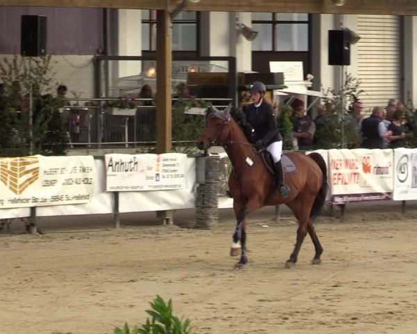 Reitturnier Hellefeld 2019