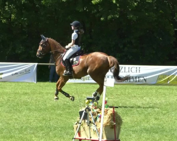 Reitturnier Leingarten 2019