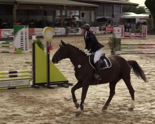 Reitturnier Hellefeld 2019