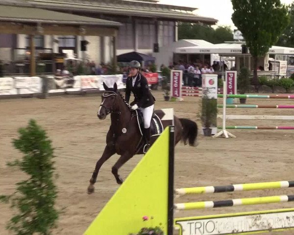 Reitturnier Hellefeld 2019