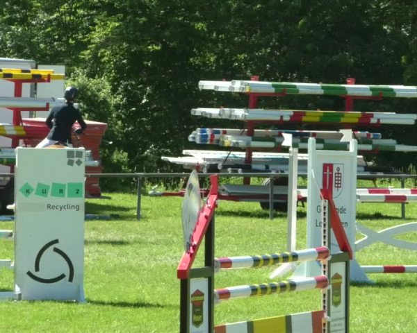 Reitturnier Leingarten 2019