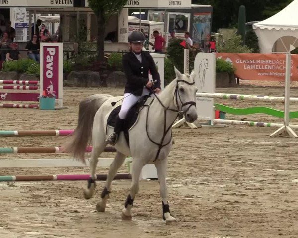 Reitturnier Hellefeld 2019