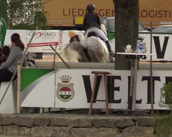 Reitturnier Hellefeld 2019