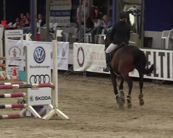 Reitturnier Hellefeld 2019