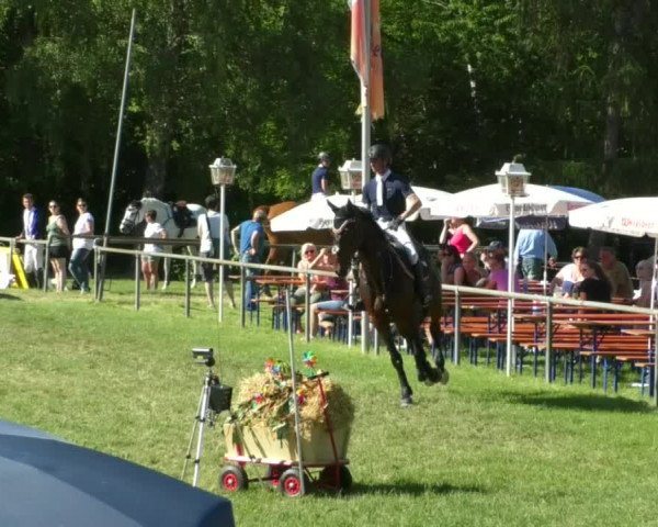Reitturnier Leingarten 2019