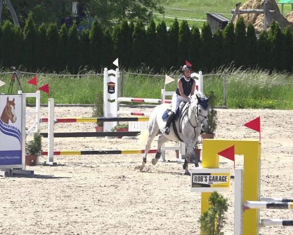 Reitturnier Fehraltorf 2019