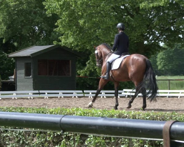 Reitturnier Hamm-Rhynern 2019