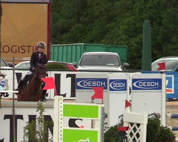 Reitturnier Hellefeld 2019