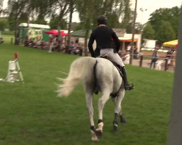 Reitturnier Hille 2019