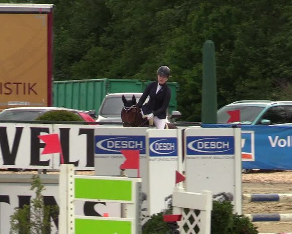 Reitturnier Hellefeld 2019