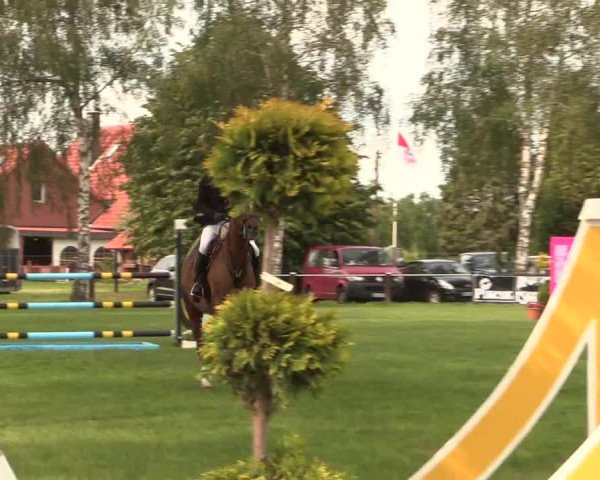 Reitturnier Hille 2019