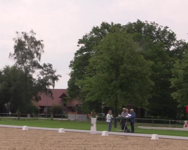Reitturnier Hille 2019