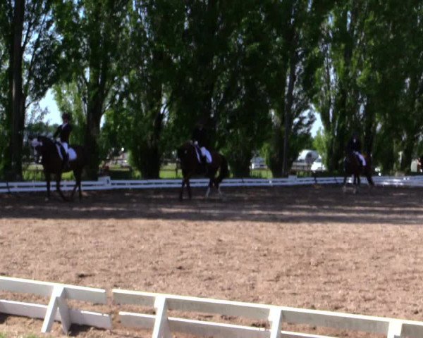 Reitturnier Hamm-Rhynern 2019