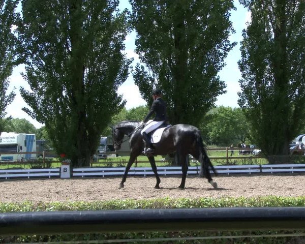 Reitturnier Hamm-Rhynern 2019