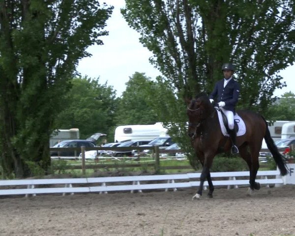 Reitturnier Hamm-Rhynern 2019