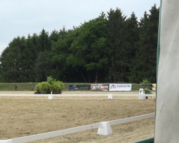 Reitturnier Burscheid-Paffenlöh 2019