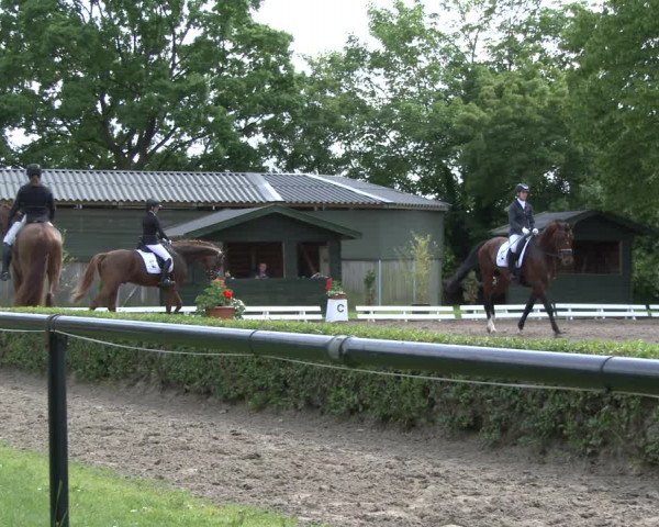 Reitturnier Hamm-Rhynern 2019