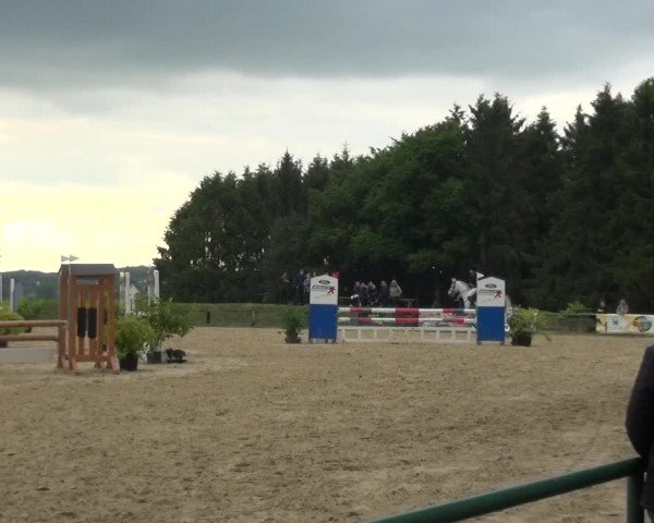 Reitturnier Burscheid-Paffenlöh 2019
