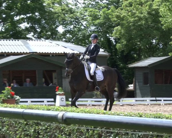 Reitturnier Hamm-Rhynern 2019