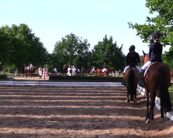 Reitturnier Hamm-Rhynern 2019