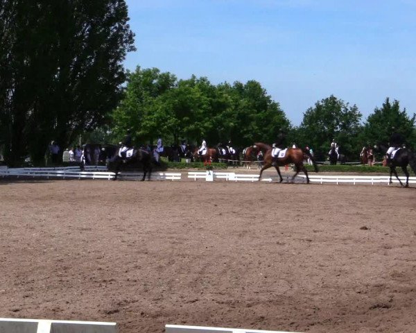 Reitturnier Hamm-Rhynern 2019