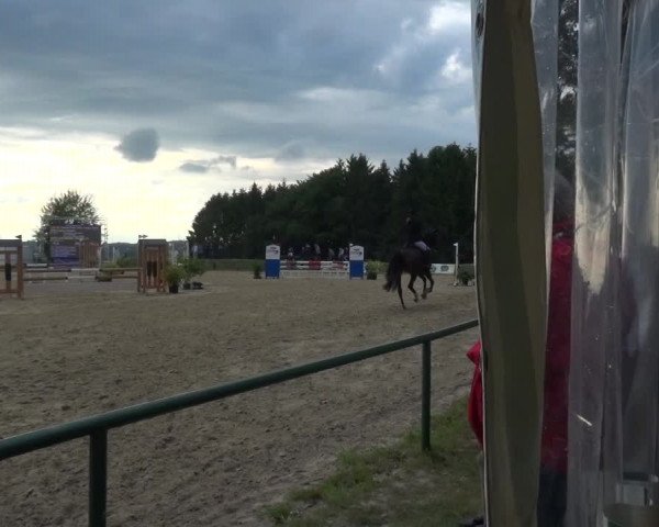 Reitturnier Burscheid-Paffenlöh 2019