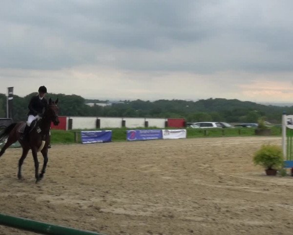 Reitturnier Burscheid-Paffenlöh 2019