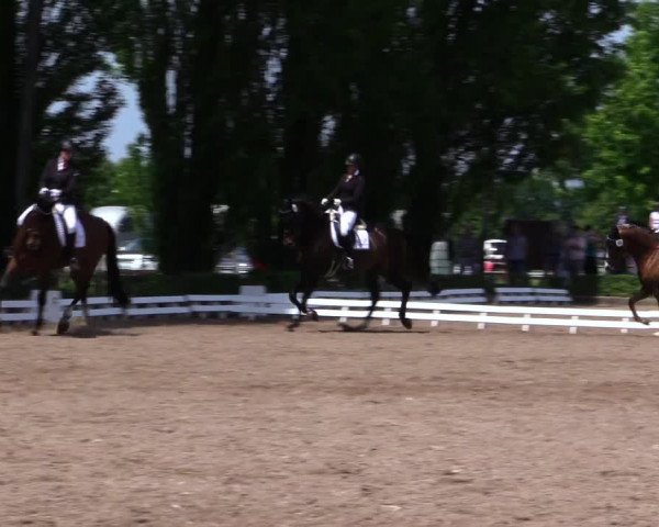 Reitturnier Hamm-Rhynern 2019