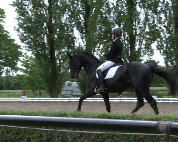 Reitturnier Hamm-Rhynern 2019