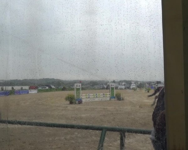 Reitturnier Burscheid-Paffenlöh 2019