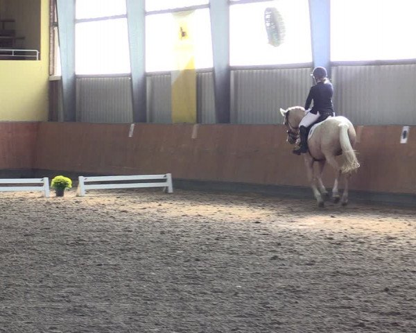 Reitturnier Frechen-Grefrath - Sonnenhof 2021