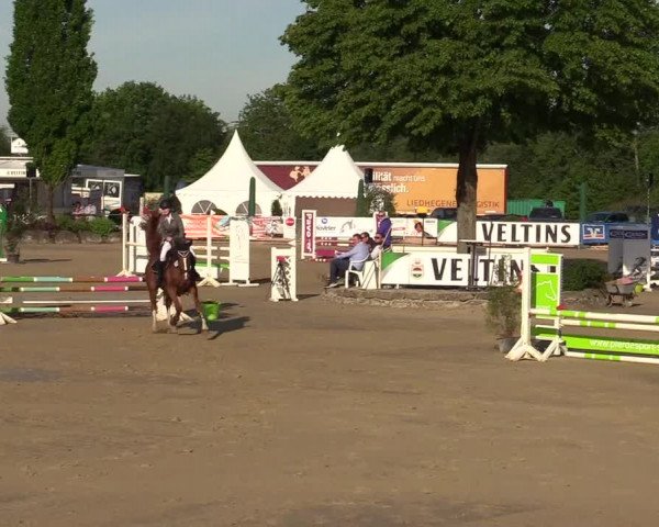 Reitturnier Hellefeld 2019