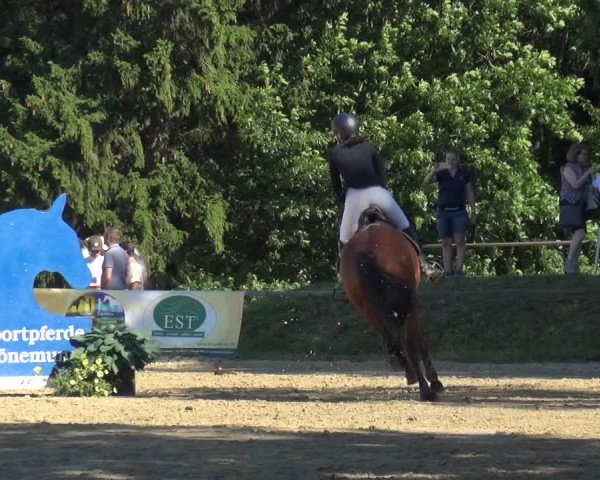 Reitturnier Burscheid-Paffenlöh 2019