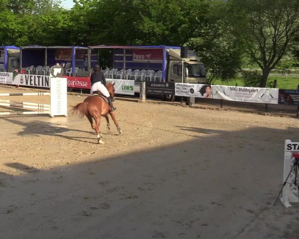 Reitturnier Hellefeld 2019