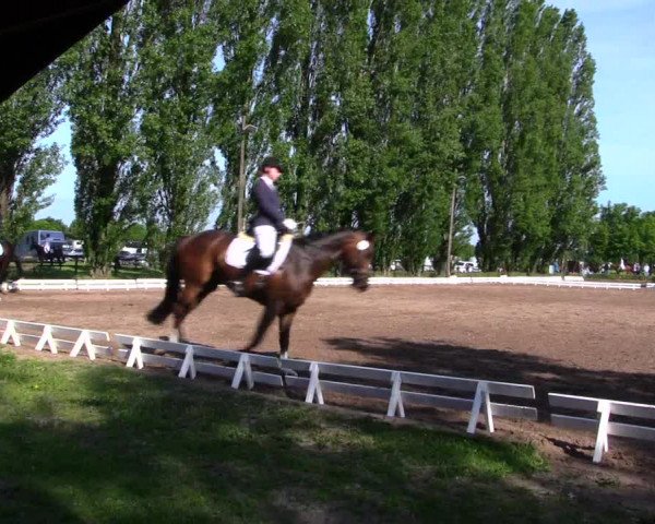 Reitturnier Hamm-Rhynern 2019