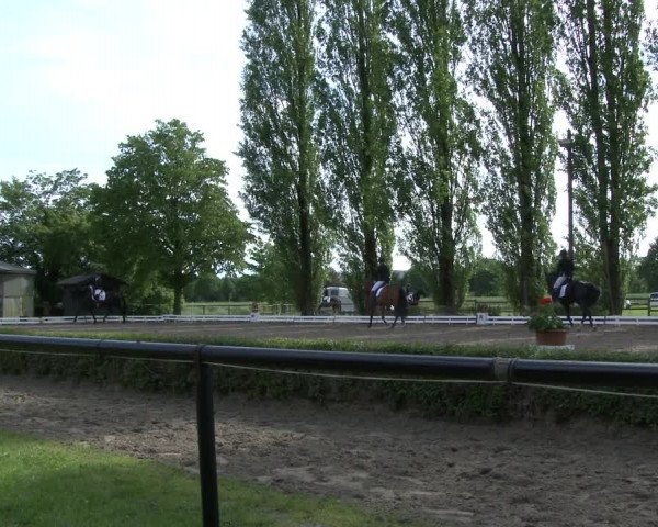 Reitturnier Hamm-Rhynern 2019