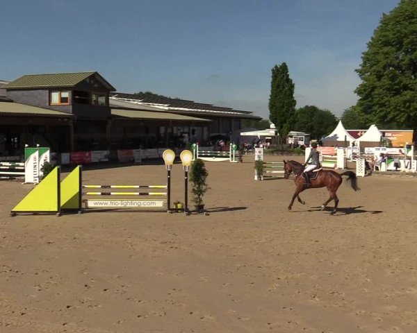 Reitturnier Hellefeld 2019