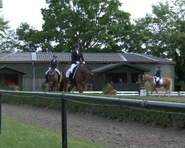 Reitturnier Hamm-Rhynern 2019