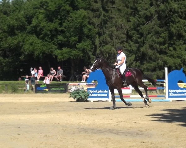 Reitturnier Burscheid-Paffenlöh 2019