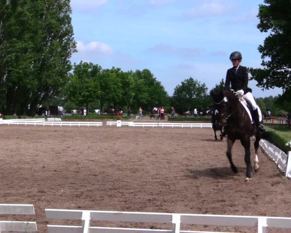 Reitturnier Hamm-Rhynern 2019