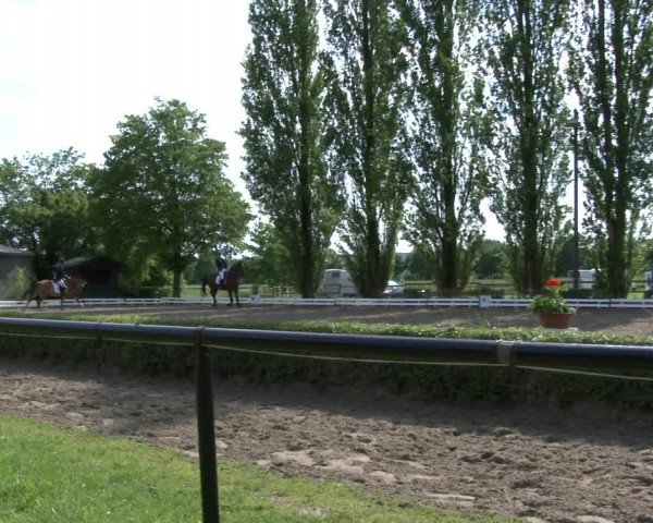 Reitturnier Hamm-Rhynern 2019
