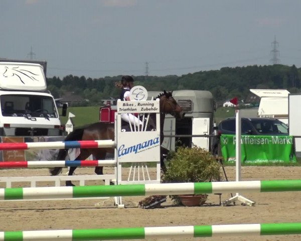 Reitturnier Burscheid-Paffenlöh 2019