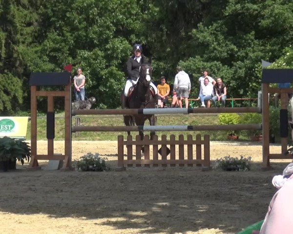 Reitturnier Burscheid-Paffenlöh 2019