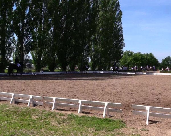 Reitturnier Hamm-Rhynern 2019