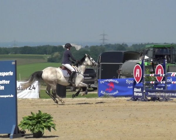 Reitturnier Burscheid-Paffenlöh 2019