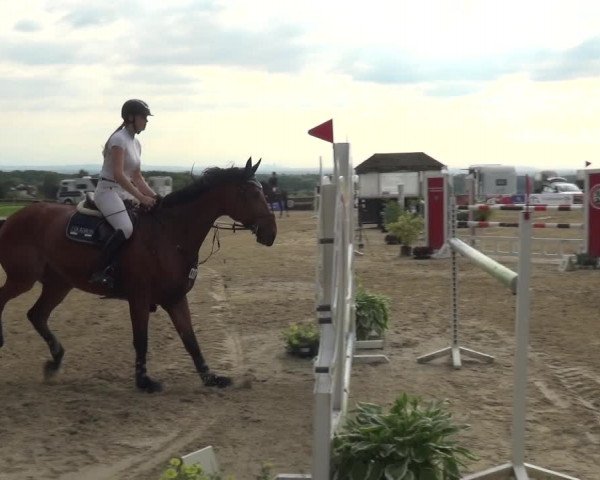 Reitturnier Burscheid-Paffenlöh 2019