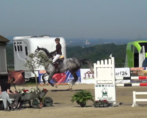 Reitturnier Burscheid-Paffenlöh 2019