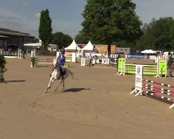 Reitturnier Hellefeld 2019