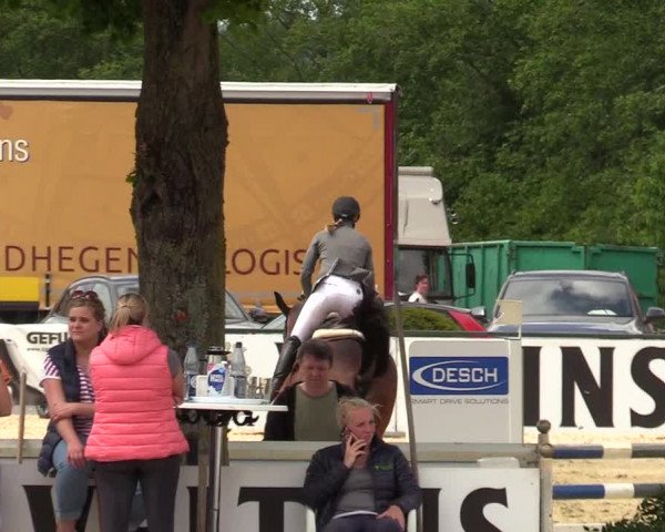 Reitturnier Hellefeld 2019