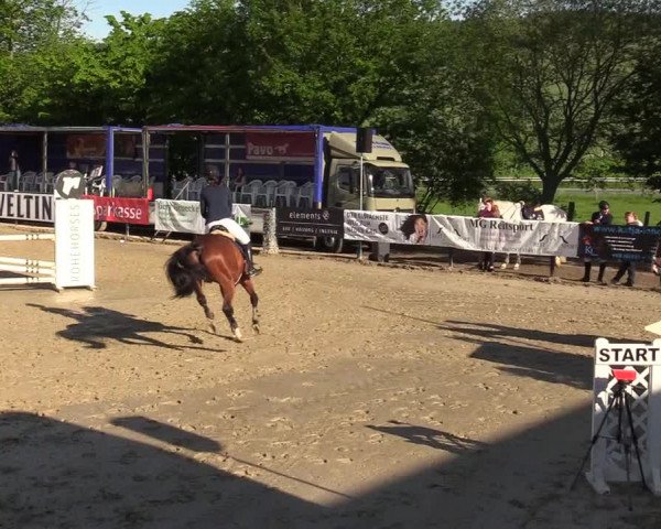 Reitturnier Hellefeld 2019